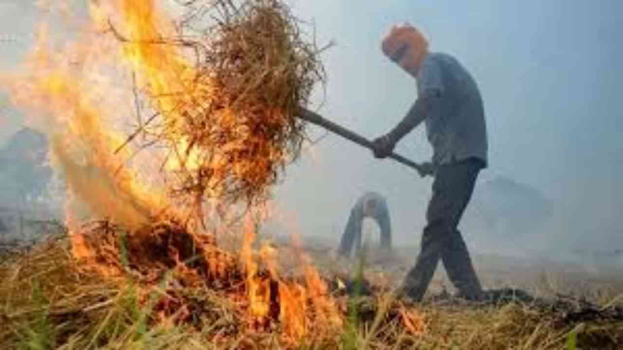 UP: सात साल में करीब 46 फीसद घटीं पराली जलाने की घटनाएं, योगी सरकार की सख्ती रही कामयाब